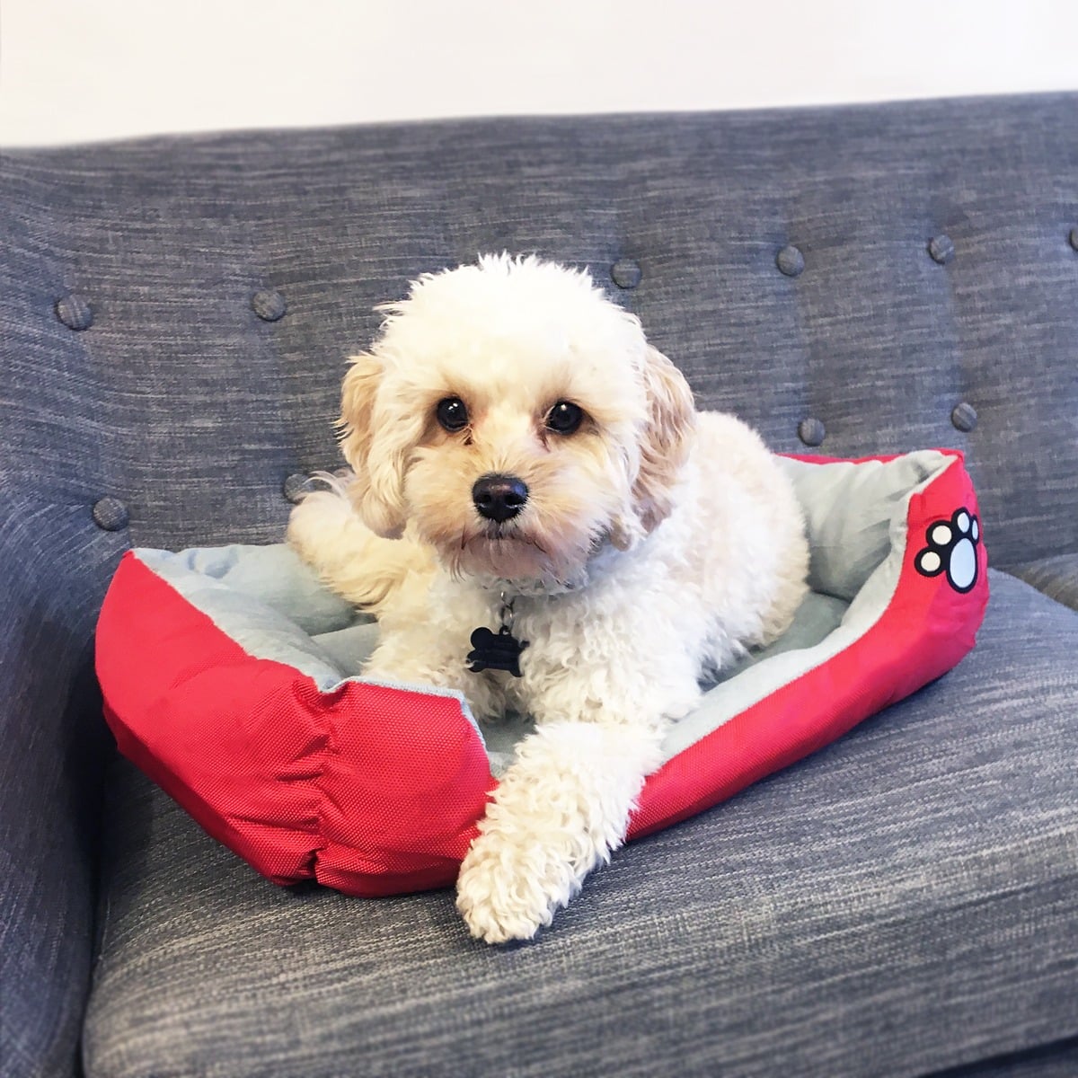 Hundekurv/kattekurv 55 - 80 cm flere farver