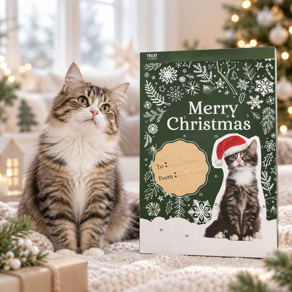 Julekalender til Katte – 24 Låger med Lækre Godbidder