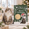 Julekalender til Katte – 24 Låger med Lækre Godbidder