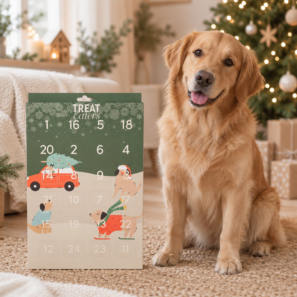 Julekalender til Hunde – 24 Låger med Mini Treats