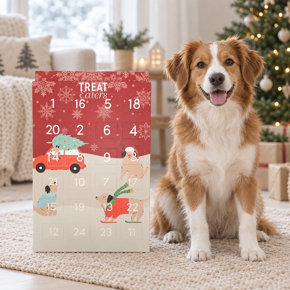 Julekalender til Hunde – 24 Låger med Små Tyggeben