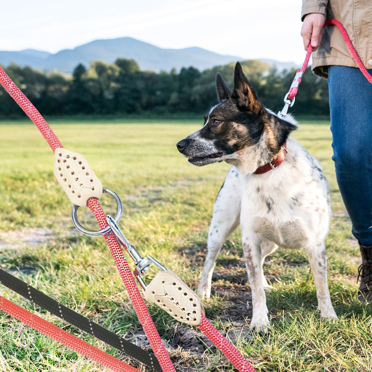 Hundesnor Rund Nylon 1 cm