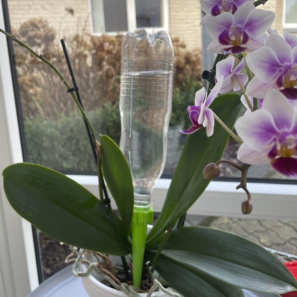 Selvvandende PET-flaske til potteplanter/bede - pakke m/6 stk.