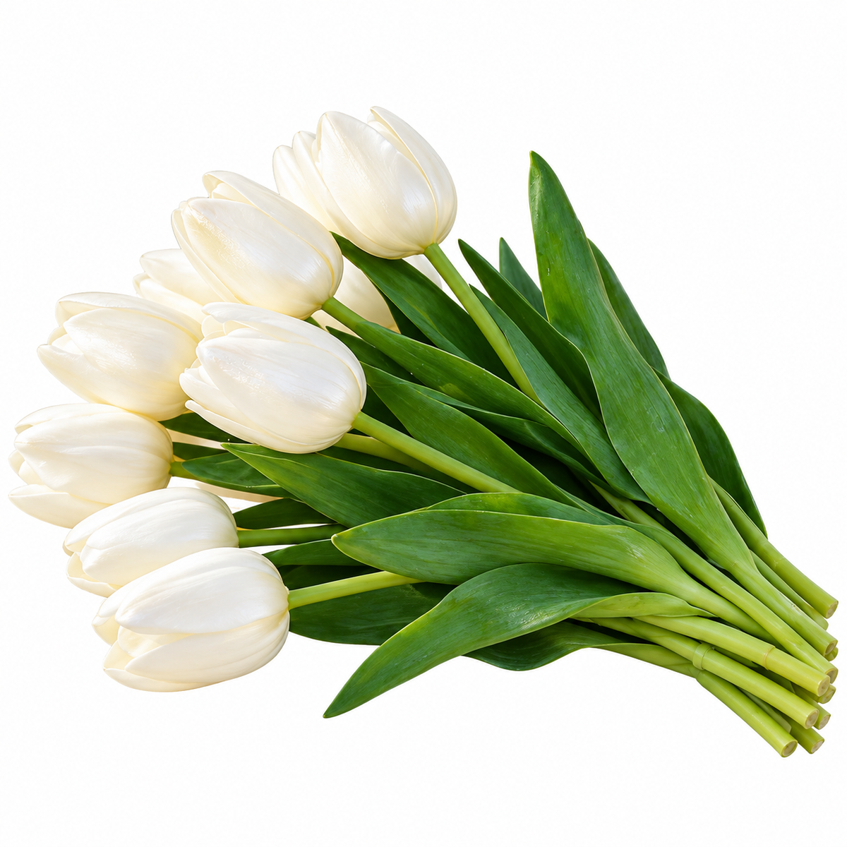 LED Tulipanbuket – 10 Hvide Tulipaner med Varmt Stemningslys