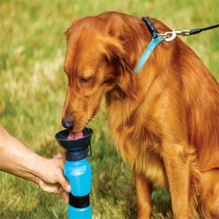 Aqua Dog Drikkedunk til hunde