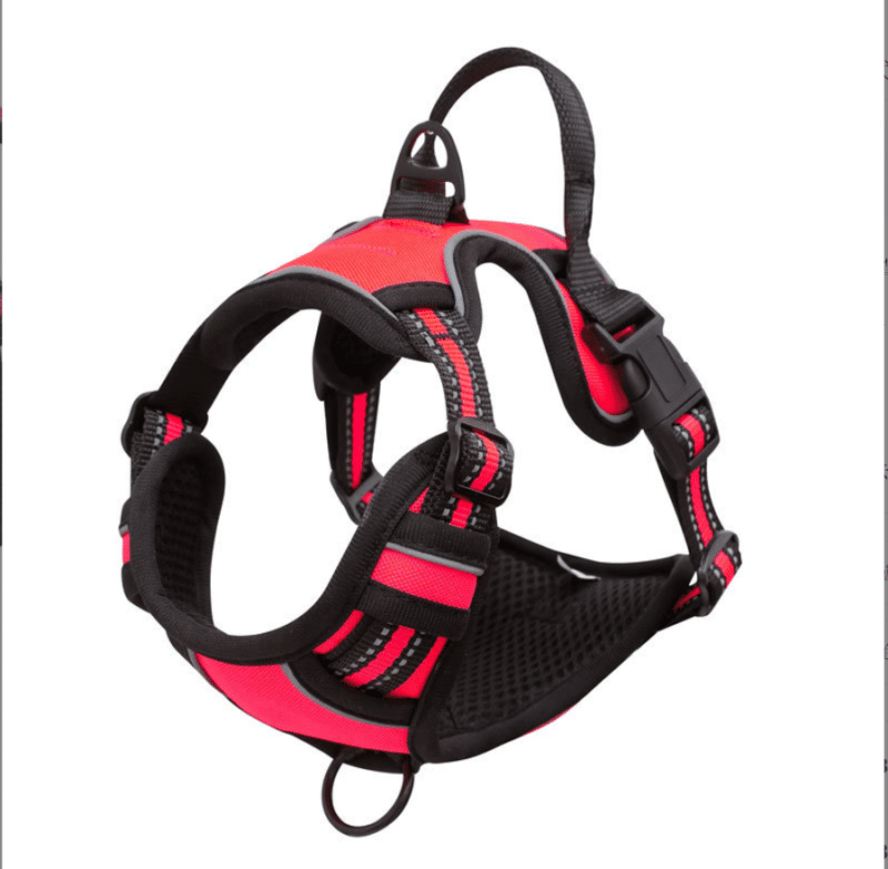 Explosion proof dog chest strap type 1