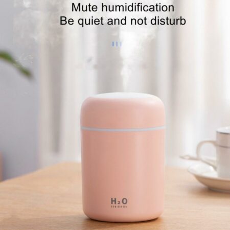 H2O Air humidifier 5