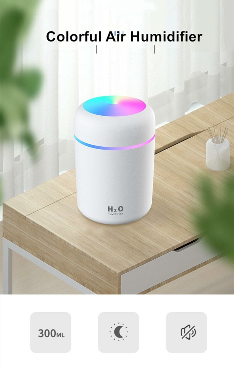 H2O Air humidifier 6