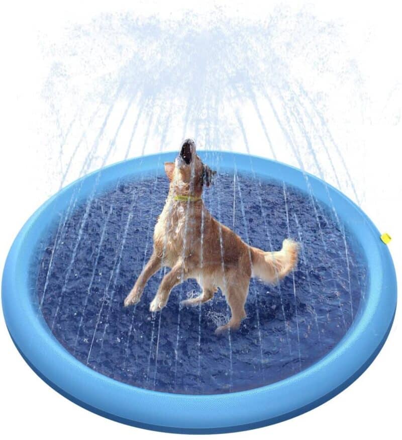 Hundepool med vandsprinkler