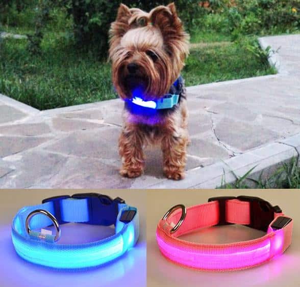 Hundehalsbånd med led-lys