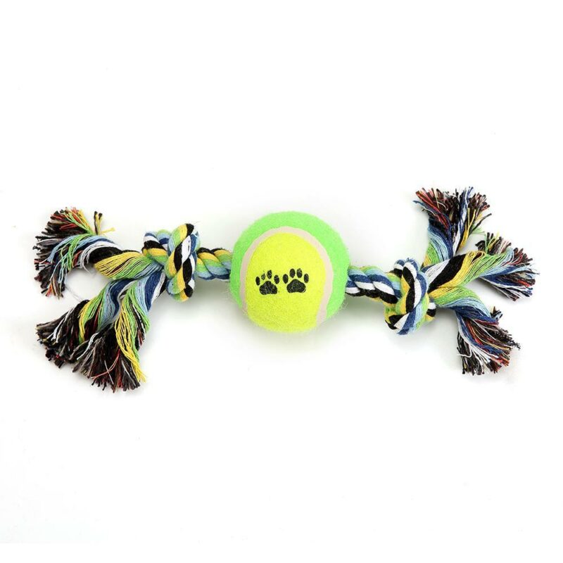 Hundereb med tennisbold
