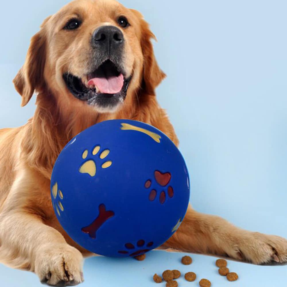 Hunde Aktivitetsbold - til glæde og gavn for din hund